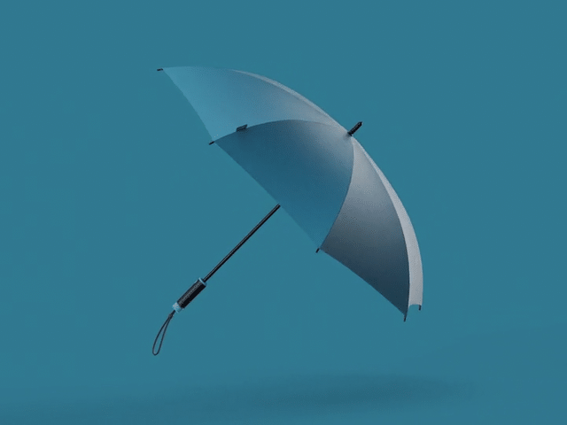The Duo Umbrella